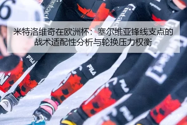 mi-te-luo-wei-qi-zai-ou-zhou-bei-sai-er-wei-ya-feng-xian-zhi-dian-de-zhan-shu-shi-pei-xing-fen-xi-yu-lun-huan-ya-li-2-119.jpg